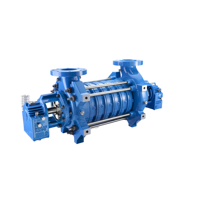 Multistage-Ring-Section-Pump  ১.png