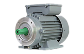 Single-Phase-Volt-Motor.png